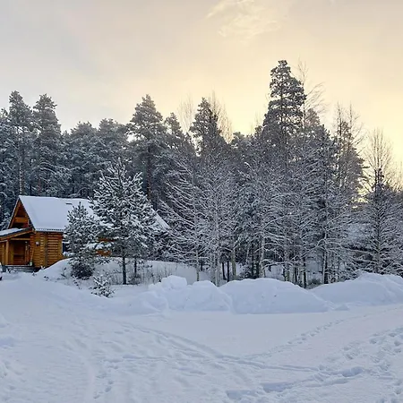 In With Sauna