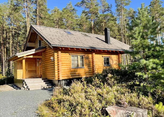 In With Sauna Vradal